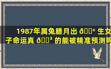 1987年属兔腊月出 💮 生女子命运真 🐳 的能被精准预测吗